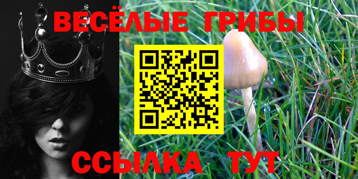 Псилоцибиновые грибы Magic Shrooms  Псилоцибиновые грибы мухоморы  Нововоронеж  купить  цена  Вход с VPN 