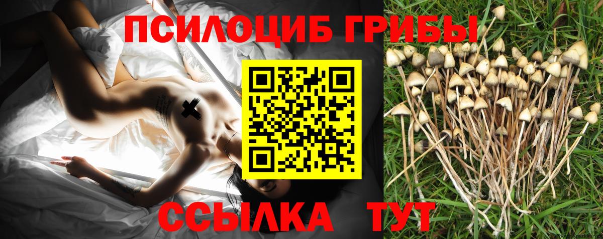 Галлюциногенные грибы мицелий Нововоронеж